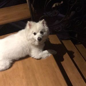 Meet your Posher, France